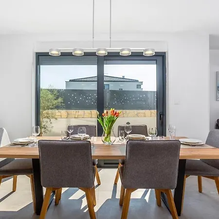 Larus Sveti Anton (Krk)