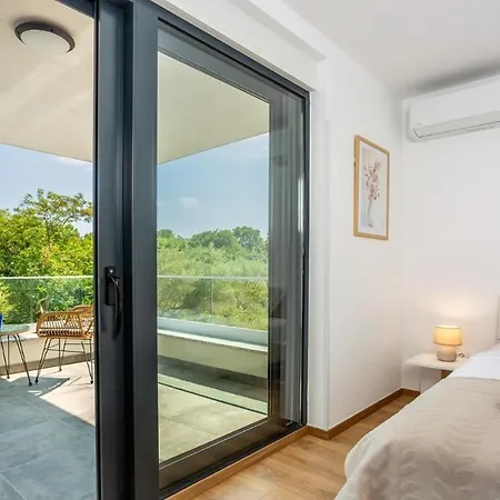 Larus Sveti Anton (Krk)