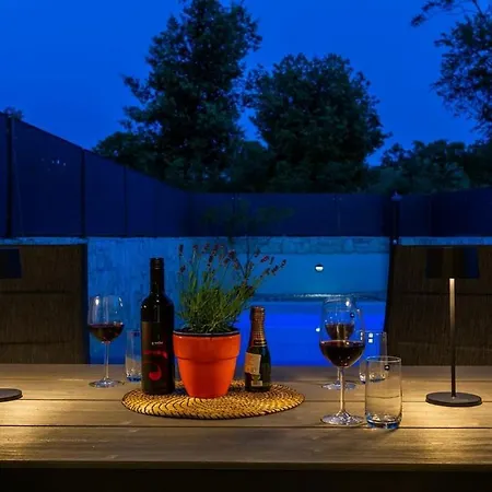 Larus Sveti Anton (Krk)