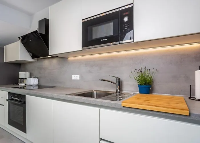 Larus Villa *